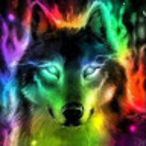 Meet your Posher, Royal